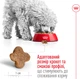 Сухий корм для дорослих собак дрібних порід Royal Canin Mini Adult 8+ старше 8 років 800 г (3182550831413) (831413) - зображення 4