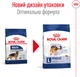 Сухой корм для собак Royal Canin Maxi Adult крупных пород от 15 месяцев 4 кг (30070400) (3182551055917) - изображение 2