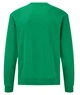 Реглан мужской Fruit of the Loom Classic raglan sweat XL Зеленый (0622160RXXL) - изображение 2