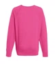 Свитшот мужской Fruit of the Loom Lightweight raglan sweat L Малиновый (062138057L) - изображение 2