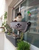 Гамак лежанка для котов на окно с присосками SmartPet, размер 52х25х25 см, светло-серый - изображение 3