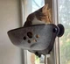 Гамак лежанка для котов на окно с присосками SmartPet, размер 52х25х25 см, светло-серый - изображение 4
