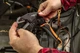 Клещи обжимные, для обжима наконечников 0.5-16мм2 Neo Tools 000340198 - изображение 5