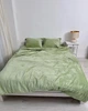 Постельное белье плюшевое семейное Dushka Home 20734 160х215х2 см фисташковое 4722948 - изображение 1