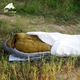 Чохол антиконденсаційний для спального мішка 3F UL GEAR Bivy B TYVEK White 4558273 - изображение 4