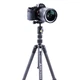 Штатив Vanguard Vesta TB 204CB (Vesta TB 204CB) 4423094 - изображение 7