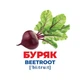 Набор развивающих карточек Гений с пеленок "Овощи" Ранок 10107194У, 17 карточек 4557585 - изображение 3