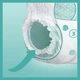 Подгузники - трусики Pampers Pants Размер 5 (12-17 кг) 42 шт - изображение 3