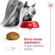 Royal Canin X-Small Adult сухий корм для собак 3 кг - изображение 3