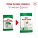 Royal Canin Mini Adult сухий корм для собак 4 кг - изображение 2