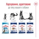 Cухий корм для собак Royal Canin Maxi Adult 15 кг - домашня птиця - изображение 5