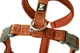 Анатомическая шлейка для собак Hurtta Casual Y-harness 60-70 Коричневый (934424) - изображение 8