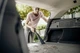 Пылесос хозяйственный Karcher WD 5 P V-25/8/35 CAR (1.628-314.0) - изображение 2