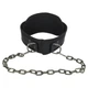 Пояс для обтяжень DIP BELT SOFT STRAP EZOUS (ширина-16см, довжина 80см, з ланцюгом, вага 1050гр, чорний) (N-03) - зображення 5