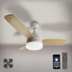 Люстра-вентилятор Luminaria FAN WOOD 48W+18W R - изображение 1