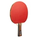 Набір для настільного тенісу Joola Family Advanced 4 Bats 6 Balls (54823) - изображение 2
