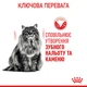 Royal Canin Oral / Dental Care Сухой корм для кошек Профилактики образования зубного налета и зубного камня, 400 г - изображение 6
