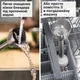 Блендер Bosch Серия 4 ErgoMaster MSM4W421 - изображение 17