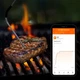 Кухонный термометр Biowin с Bluetooth, 2 датчика - изображение 5