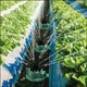 Спринклерный ороситель дождеватель умная система полива Fresh Garden насадка на шланг распылитель на 360 градусов - изображение 6