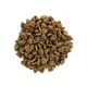 Корм сухой Brit Care Cat Grain Free Adult Activity Support для уличных и взрослых кошек с индейкой 400 г - изображение 3