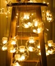 Світлодіодна гірлянда бахрома Кульки в кулях, 10 LED, 2,5х0,8 м, IP44, Теплий білий - зображення 4