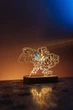 Светильник ночник на деревянной основе с LED подсветкою и USB выходом 3D карта Украины с цветами 18х13 см - изображение 6