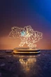 Светильник ночник на деревянной основе с LED подсветкою и USB выходом 3D карта Украины с цветами 18х13 см - изображение 7
