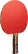 Набор для настольного тенниса Joola Family Advanced 4 Bats 6 Balls (54823) - изображение 2