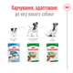 Консервы для собак малых пород Royal Canin Adult Mini в соусе, 85 г - изображение 3
