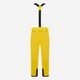 Горнолыжные брюки мужские Dare 2b Achieve II Pant DMW486R-68L M Желтые (5059404791552) - изображение 4