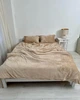 Постельное белье плюшевое полуторное Dushka Home 20751 160х215 см бежевое - изображение 1