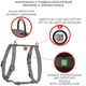 Шлея для собак водостійка анатомічна Н-подібна WAUDOG Waterproof з QR паспортом, пластикова пряжка-фастекс, чорна, розмір S - зображення 4