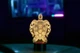 Сменная пластина для 3D светильников "Черепаха" 3DTOYSLAMP - изображение 1