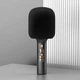 Бездротовий мікрофон караоке KTV Q11-5W з Bluetooth колонкою microSD, USB, AUX Чорний - зображення 3
