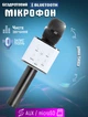 Беспроводной караоке микрофон Bluetooth UTM Q7s PRO стерео с функцией эхо, USB, кейс Черный - изображение 1