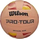 Мяч волейбольный Wilson Pro Tour Volleyball Stripe размер 5 (WV2000501IBOF) - изображение 1