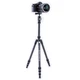 Штатив Vanguard Vesta TB 204CB (Vesta TB 204CB) - изображение 5