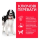 Сухой корм для собак средних пород с ягненком и рисом Hills Science Plan Adult Medium Lamb & Rice 14кг - изображение 3