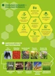 Биостимулятор роста растений Амалгерол Эссенс 15 мл, Sumi Agro - изображение 2
