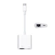 Сетевой переходник для интернет кабеля Ethernet LAN RJ45 - Type C + PD (485980) - изображение 1