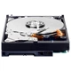 Жесткий диск WD 1.0TB Blue 7200rpm 64MB (WD10EZEX) - изображение 5