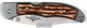 Туристический нож Cold Steel Lone Star Hunter Thumb Stud Version 54SBHT (12600953) - изображение 6
