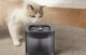 Миски и контейнеры PETKIT Eversweet Solo SE Smart Pet Drinking Fountain Grey Фонтан-поилка 1,8 л (P4103S GREY) - изображение 5