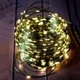 Светодиодная гирлянда нить "Роса" 50м с пультом, 500 LED, 220V, зеленый провод, 8 режимов, IP44, Теплый белый - изображение 9