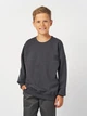 Подростковый свитшот для мальчика Smile Time Design Cut SX26-52-15-3 152 см Темно-серый (st_2000000188409) - изображение 1