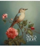 Комплект 5 шт загальних зошитів Songs of hope. Зошит Школярик 60 арк. у клітинку 3355 060-3355K 4823088231403 - изображение 6