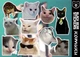 Стікерпак "Котики", стікери вологостійкі, наклейки, меми (stpack-cats) - зображення 1