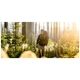 Рюкзак туристичний Osprey Aura AG LT 50 koseret/darjeeling spring green WM/L (009.3295) - зображення 10