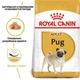 Сухий корм для собак Royal Canin Pug Adult 3 кг - изображение 2